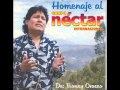 Grupo néctar - Internacional - Pecadora 