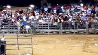 El chapo de Sinaloa- me gusta tener de a dos