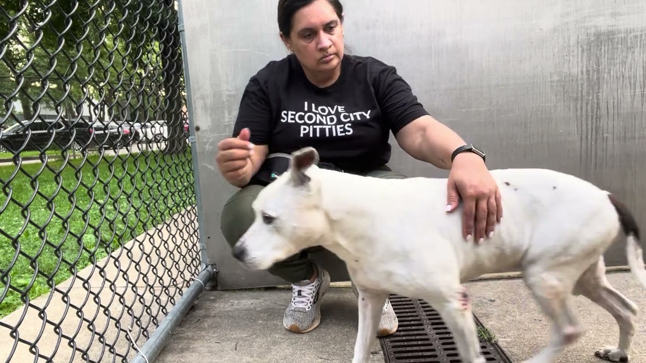Olga video preview