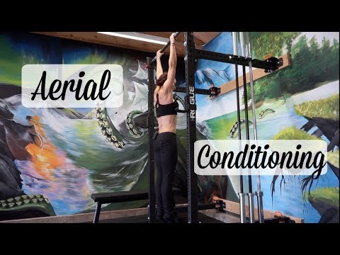 AERIAL CONDITIONING | Core and Upper Body Strength