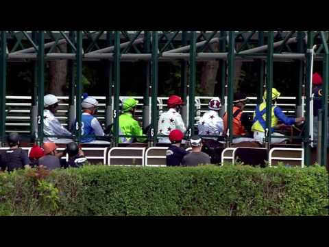 Galopprennbahn Dresden 15.07.2017 - Rennen 7