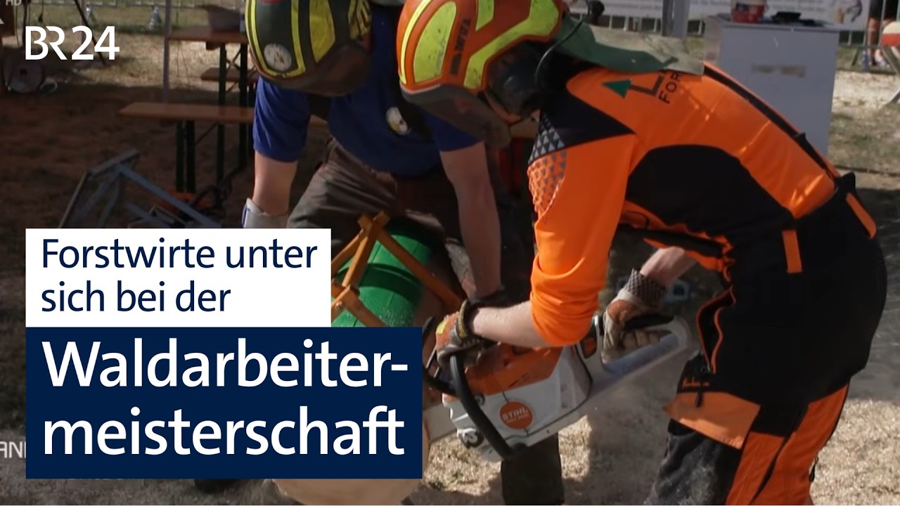 Wer kann am besten mit der Motorsäge umgehen? | BR24
