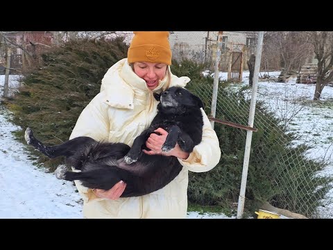 The Moment This Dog Realized She Was Loved