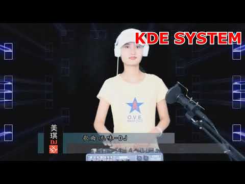 DJ TIKTOK Wu Wei 无味 Remix