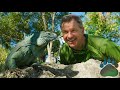 Chris Kratt Meets a BLUE!! Iguana | On the Creature Trail with the Kratt Brothers