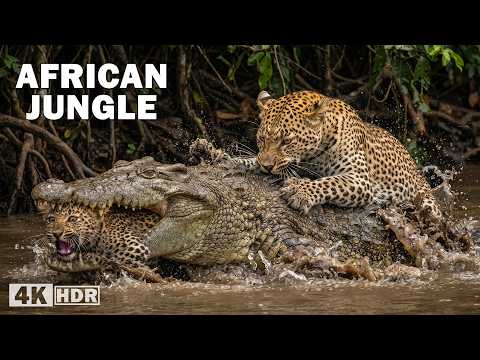 The Unique Creatures of Africa s Most Mysterious Forest