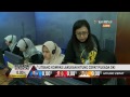 Jelang Hitung Cepat Pilkada DKI 2017 Persiapan Pusat Data