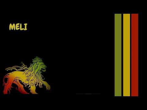 Seggae Level 1 Remix - DJ Meli