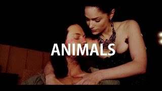 john & mary | animals