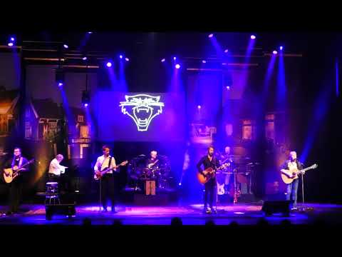 Tribute To The Cats Band / Dreams.