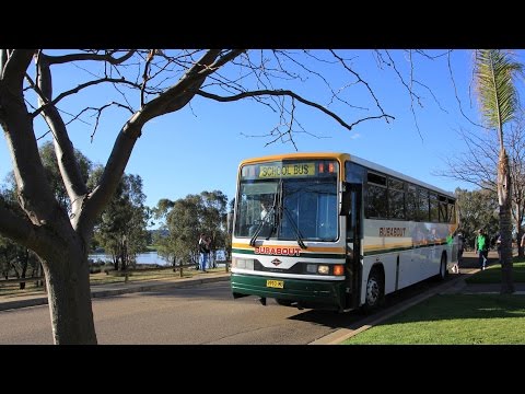 Busabout Wagga Wagga Tour: 3993MO - Spartan TB275 (Allison/CC 510)