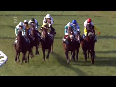 Pardubický Sant Leger 2008 -VADEONA-Martin Srnec