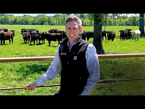 Careers at Zoetis (German Subtitles)