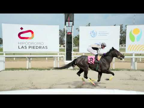 230722 c02 - SILVER QUEEN - HIPODROMO LAS PIEDRAS