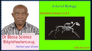 Evolution (A-level biology) lesson 3 of 3