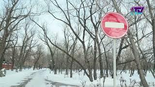 Видео