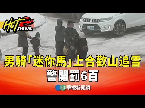 不怕塞！男騎「迷你馬」上合歡山追雪　警開罰6百