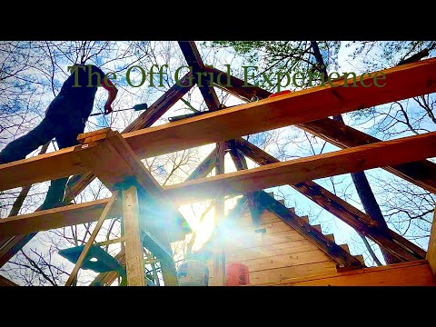 Off Grid Cabin Build: | Ep. 16 | Rafters Are Finished…Almost. Roof/Ceiling Boards Next.