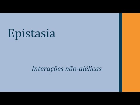 Interações não alélicas: Epistasia