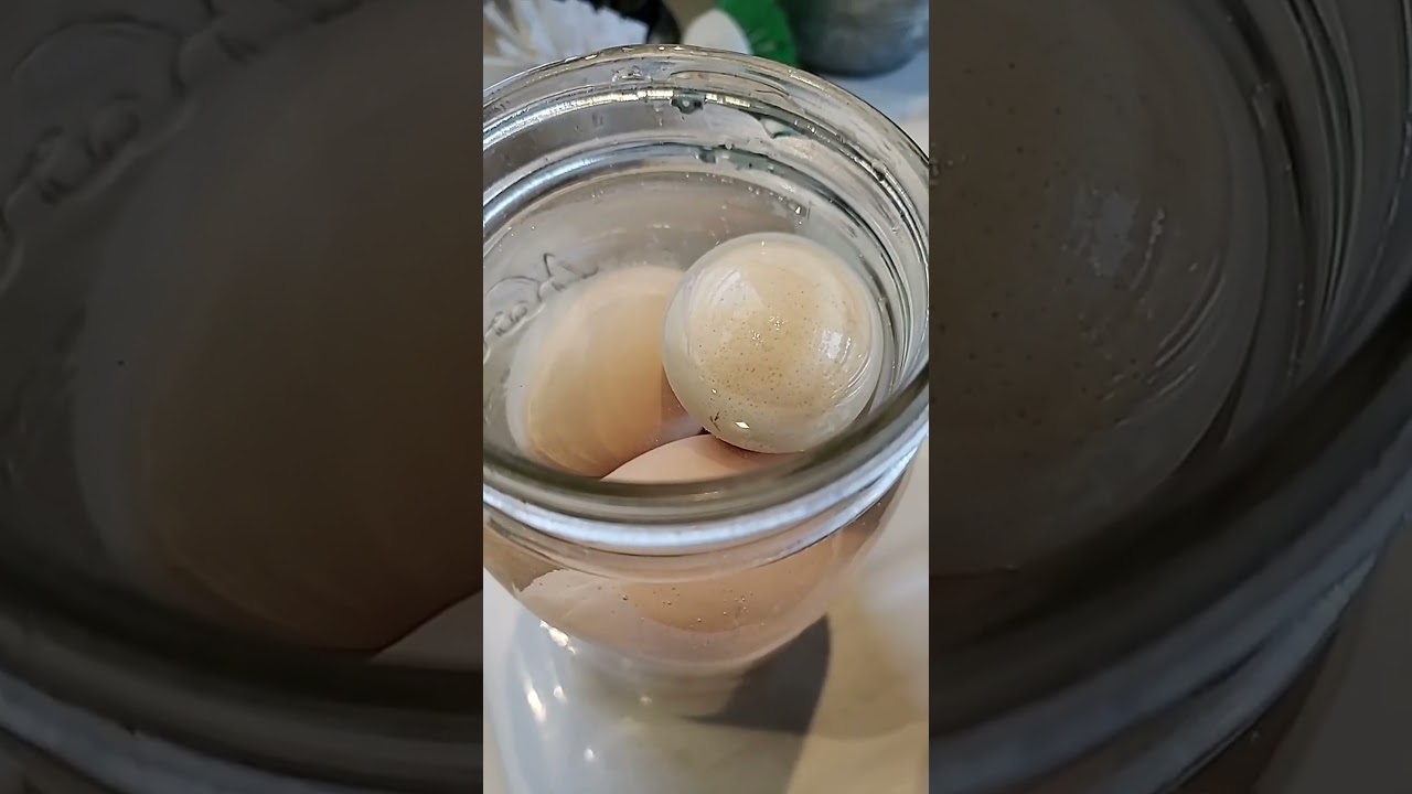 Master the Art of Peeling Eggs #offgridliving #outdoorlife