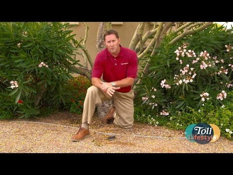 Outdoor Home Maintenance Reminders