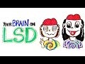 Your Brain on LSD and Acid