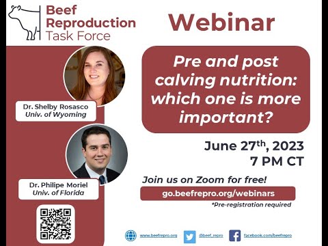 BRTF Spring Webinar - Pre and post calving nutrition: which one is more important?