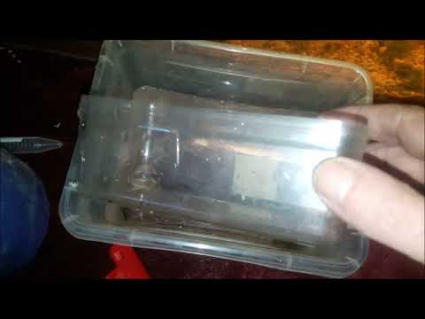 Dauerfutter für Garnelen, Antennenwelse und Medaka Jungfische