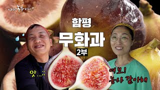 [나는농부다 319회 2부] 무화과 부부의 동상이몽 밀당 일기