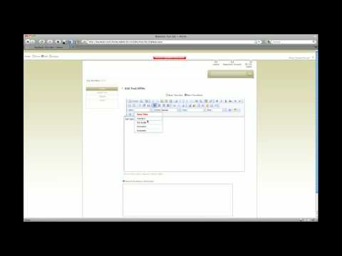 Episode 4 : Part 3 : Using the HTML Editor (Custom Styles)