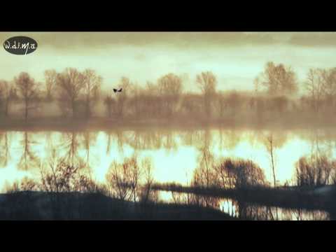 Drowned in November - Early Summer