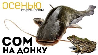 Ловля сома поздней осенью в ноябре