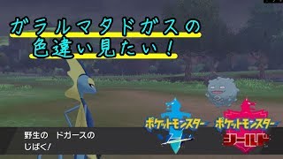 ドガース ポケットモンスター モウカザル スワンナ グラードン