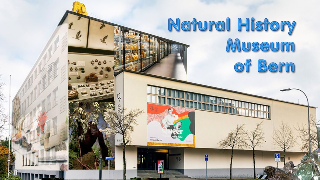 Explore the highlights of the Natural History Museum.