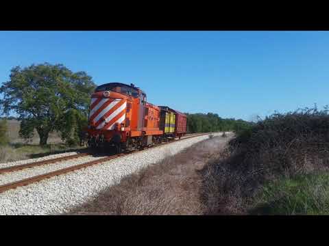 Comboio n.º 31602 - Assumar