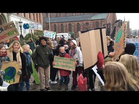 Hvorfor gå i Skole, når vi ingen fremtid har.