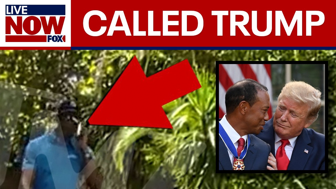 Tiger Woods called President Trump after crash: TMZ