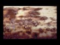 The Legendary Pink Dots - Premonition 26 / Premonition 28