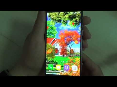 Autumn Garden Live Wallpaper Video