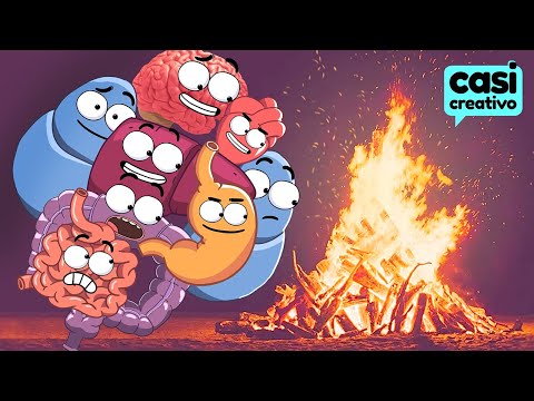 Your Organs Burning Calories