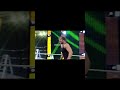 Wwe Wrestlers I Wished Never Left