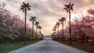 I wanna be your friend...