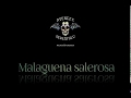 lyrics#avenged sevenfold - malaguena salerosa lyrics#avenged sevenfold - malaguena salerosa