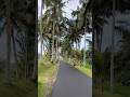 Morning Vibe With Panoramic Village Road