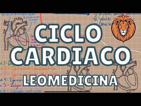 Tu Clase de Ciclo Cardiaco |Leomedicina