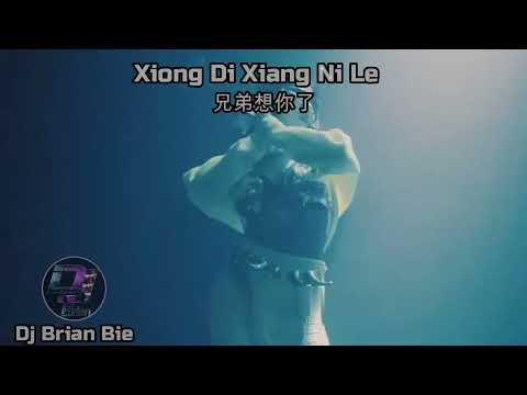 Xiong Di Xiang Ni Le 兄弟想你了 Remix By Dj Brian Bie Tiktok Hot Song Douyin