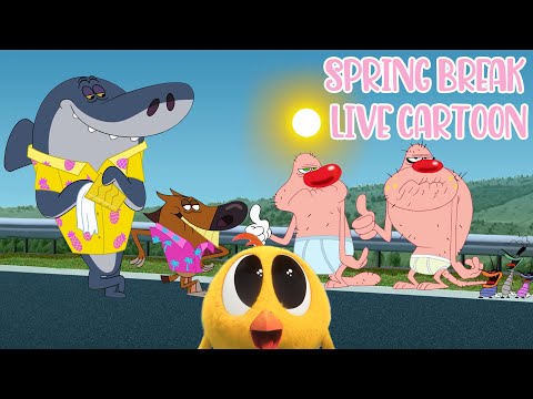 🔴 LIVE SPRING BREAK 🌸  OGGY AND THE COCKROACHES |  ZIG AND SHARKO |  WHERE'S CHICKY
