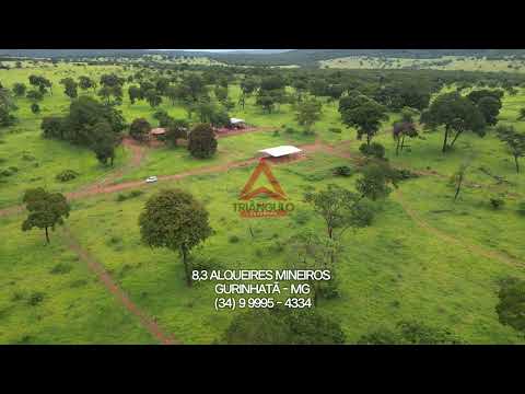 Fazenda a Venda em Gurinhatã com Terra de Ótima Qualidade com Natureza Incrível - Montada Pecuaria
