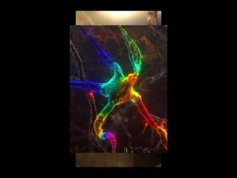 CHILLIN PUTO - KORTATV X LIL FANVITO (SKR VIDEO) #TRANKILITOSENLACOCINA