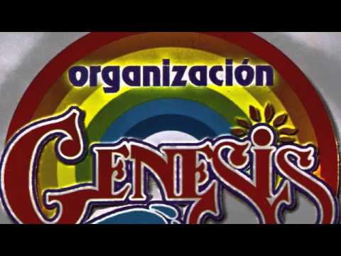 Organizacion Genesis  -  Complices